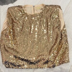 Judith March gold sequin small top